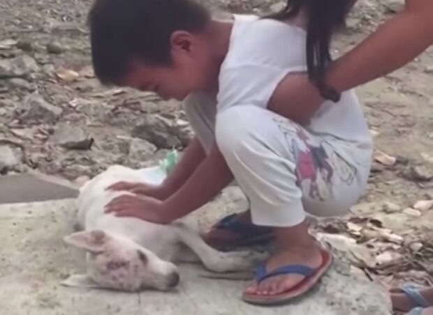 Хлопчик прощається з собакою, скріншот відео