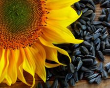 Популярное лакомство таит множество опасностей