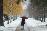 Львів'яни, шуби - геть: лагідна зима зізнається в коханні місту 2 січня