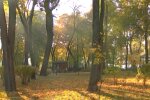 Прогноз погоди, кадр з відео