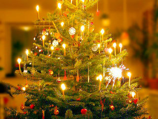 Новорічна ялинка зі свічками