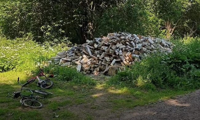 Дрова в деревне. Фото: скриншот Youtube