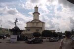 Франківчан тероризують повзучі гади - кусаються як скажені, обережно
