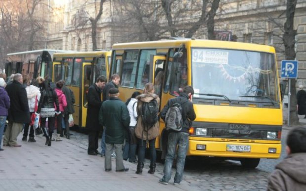 Львівський маршрутчик викликав шалену агресію у соцмережах