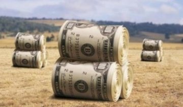 Сільське господарство України знищують банки 