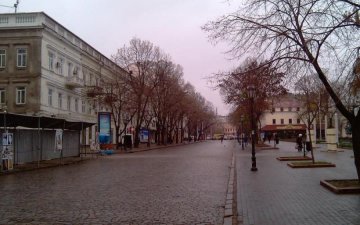 Одессит победил в чемпионате по лени с новогодней елкой