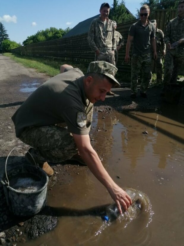 ОБСЄ зафіксувала рух колони автомобілів, зокрема військової вантажівки, біля неконтрольованого кордону з РФ - Цензор.НЕТ 4739