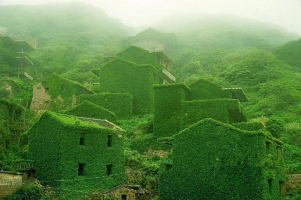 Полишене мешканцями китайське рибальське село "потонуло" в зелені