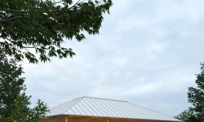 К проекту Первой леди Елены Зеленской «Адрес детства» присоединились Эстония, - нардеп Пушкаренко