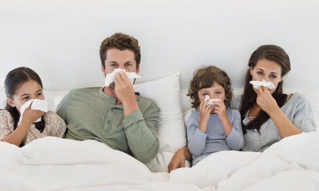 Вчені знашли альтернативу антибіотикам: вони у нас під ногами