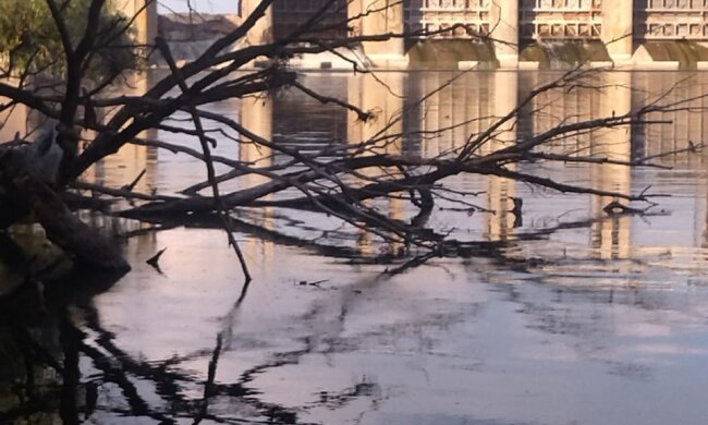 Керівництво Держекоінспекції здійснило візит до Донецької області