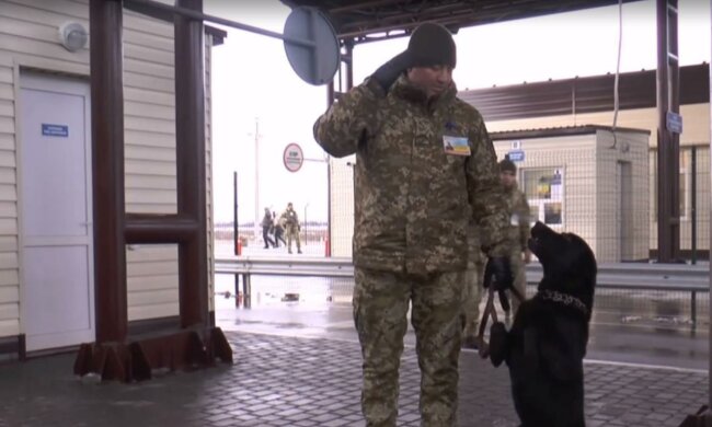 "Слава Украине!" - пограничники натренировали самого патриотичного пса, видео