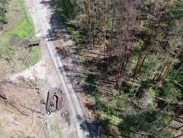 На Житомирщине оккупанты обстреляли леса, ущерб окружающей среде от пожаров, возникших в результате составили более 36,7 млн гривен