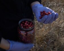 Журавлина, скріншот відео