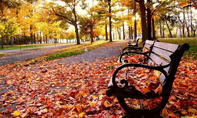 Погода в Киеве 1 ноября: последний месяц осени испытает украинцев на стойкость