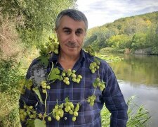 Комаровський пояснив, яка ванна треба немовлятам: "Переходьте від теорії до практики"