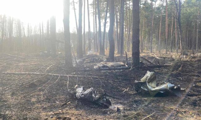 Разбитый украинский самолет