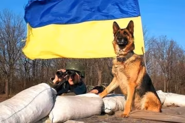 Скрін, Facebook ЗСУ