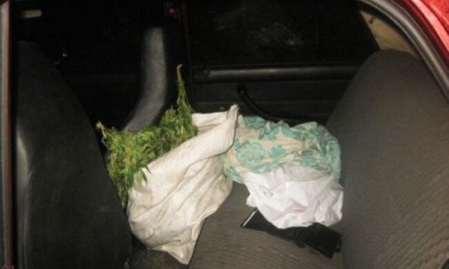 У таксиста в Дніпропетровську знайшли п’ять кілограмів марихуани 