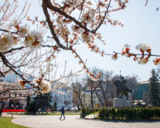 На українців чекають заморозки перед Великоднем: коли потеплішає