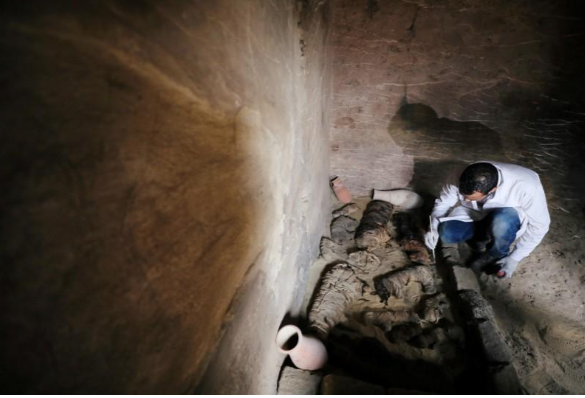 Впервые в истории: гробница с крошечными саркофагами взбудоражила ученых, более 200 мумий