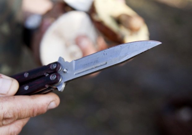В Черкассах вооруженный извращенец охотится на девочек возле школы