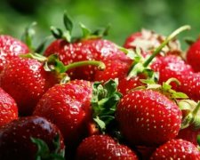 Стоимость клубники рекордно подорожала