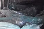 Загиблі російські солдати. Фото: скриншот Youtube