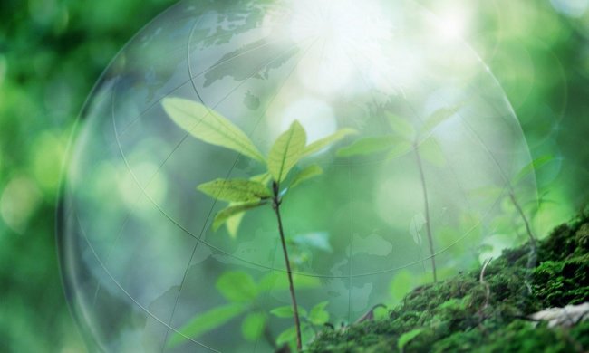 5 июня: какой сегодня праздник - история и традиции