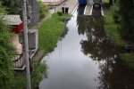 У ряді українських міст стався справжній потоп: ловлять карасів руками в парках