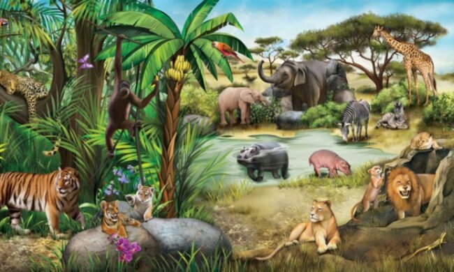 На Трухановом острове презентуют африканские книги