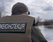 Держекоінспекція