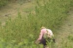 Заробітчани, скріншот: YouTube
