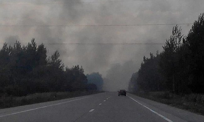 На півночі Житомирщини горять ліси і торфовища (фото)