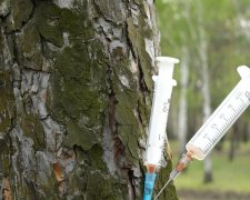 Дитину ледь не заразили ВІЛ у львівському дитсадку