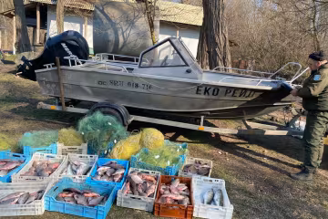 незаконний вилов риби