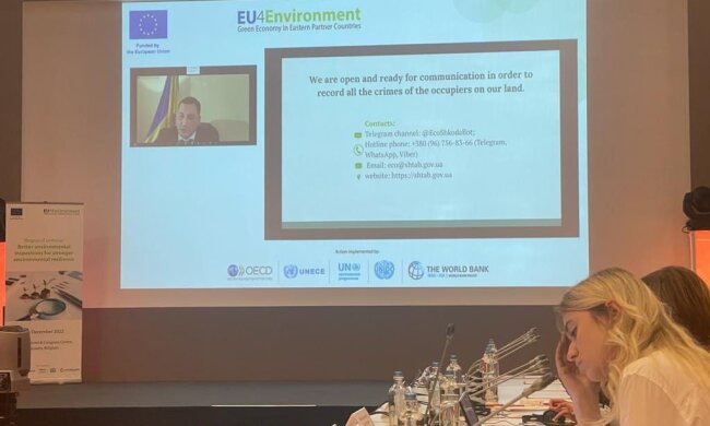 т.в.о. Голови Держекоінспекції Ігор Зубович взяв онлайн участь у міжнародному семінарі за участю екологічних інспекцій країн Європи