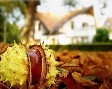 Яка погода очікує на українців завтра