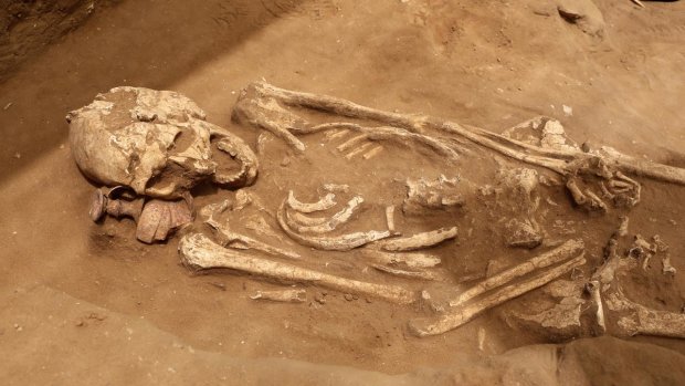 З'явилися нові подробиці про "одеських скелетів": експерти шоковані, скільки років кістки пролежали в дворі
