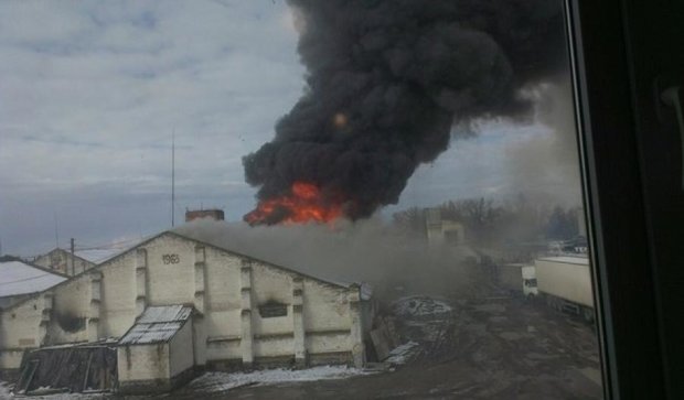 Пожар в Василькове спровоцировал панику (фото, видео)
