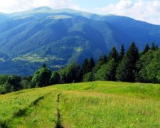 Эти снимки Карпат тронут вас до глубины души