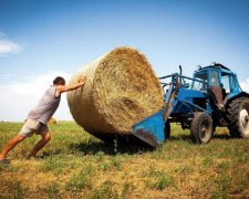 Гривні кінець? НБУ назвав винних