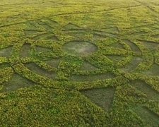 Вчені виявили загадкові круги на полях поблизу Амазонки
