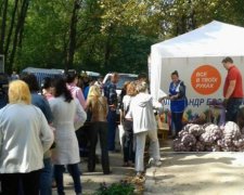 Київських виборців заманюють картоплею по 10 гривень за 10 кг