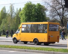 В Запорожье осатаневший маршрутчик избил парня с инвалидностью, горько и стыдно: "Понабирали м*даков"