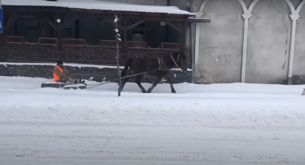 В Бродах лошадью на санях отгребают снег. Фото: скриншот.