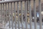 Бої у Києві, фото: скріншот з відео