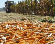 Україна допоможе Кенії з харчами