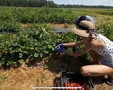 Заробітчани, фото: скріншот з відео