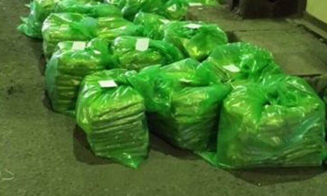 СБУ задержала полтонны героина на Одесской таможне